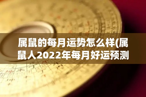 属鼠的每月运势怎么样(属鼠人2022年每月好运预测)