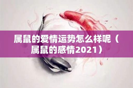 属鼠的爱情运势怎么样呢（属鼠的感情2021）