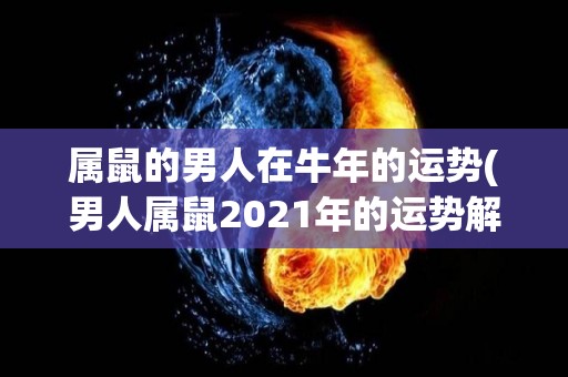 属鼠的男人在牛年的运势(男人属鼠2021年的运势解析)