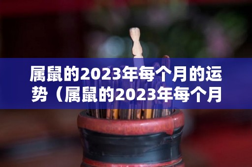 属鼠的2023年每个月的运势（属鼠的2023年每个月的运势好）