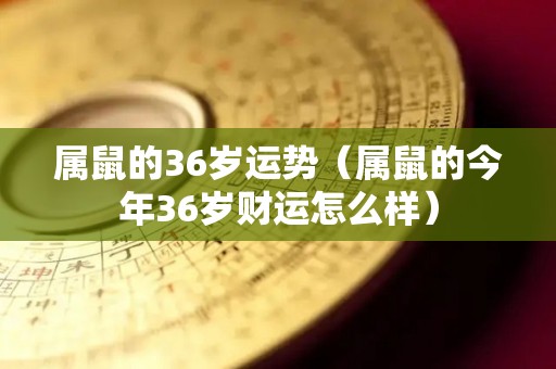 属鼠的36岁运势（属鼠的今年36岁财运怎么样）