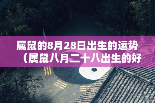 属鼠的8月28日出生的运势（属鼠八月二十八出生的好吗）