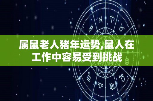 属鼠老人猪年运势,鼠人在工作中容易受到挑战
