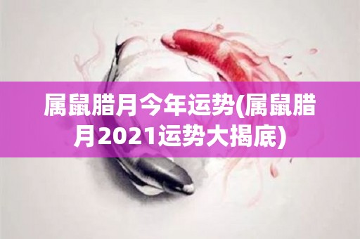 属鼠腊月今年运势(属鼠腊月2021运势大揭底)