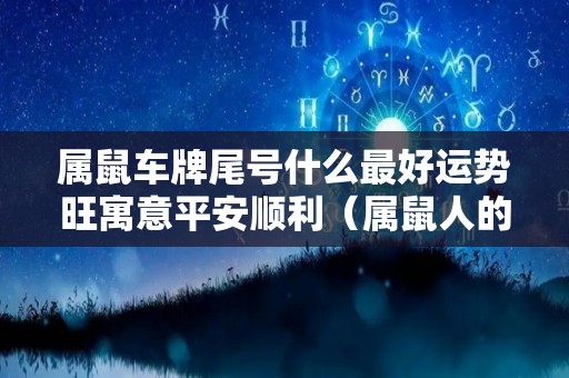 属鼠车牌尾号什么最好运势旺寓意平安顺利（属鼠人的车牌号）