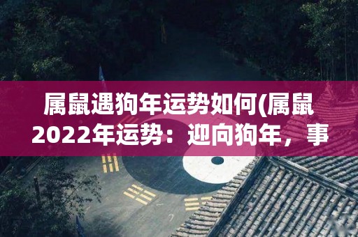 属鼠遇狗年运势如何(属鼠2022年运势：迎向狗年，事业财运稳步上升！)