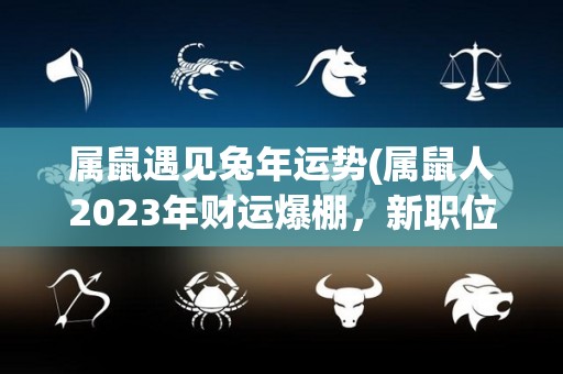 属鼠遇见兔年运势(属鼠人2023年财运爆棚，新职位等着你)