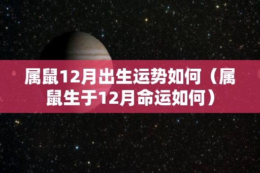 属鼠12月出生运势如何（属鼠生于12月命运如何）