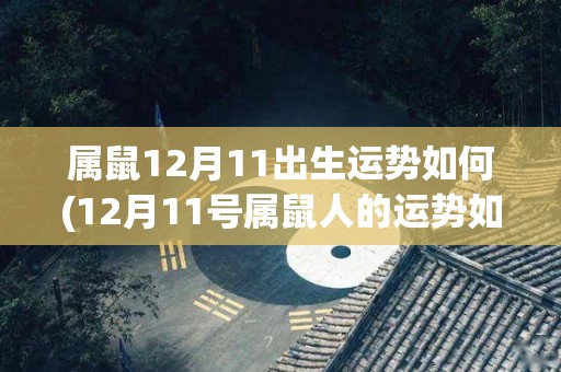 属鼠12月11出生运势如何(12月11号属鼠人的运势如何？快来看看！)