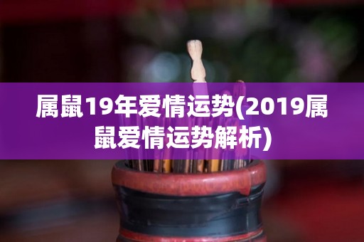属鼠19年爱情运势(2019属鼠爱情运势解析)