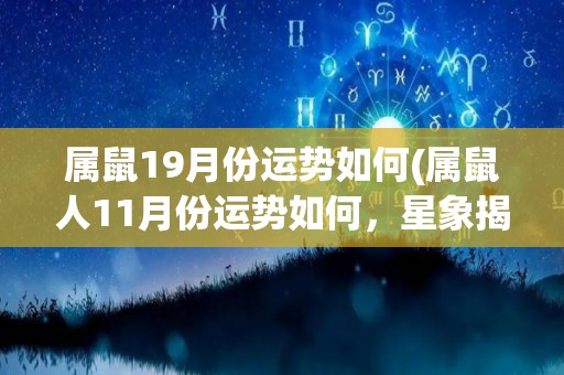 属鼠19月份运势如何(属鼠人11月份运势如何，星象揭示真相)