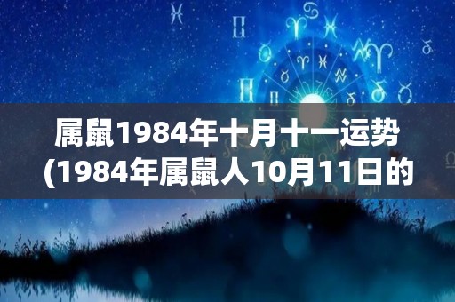 属鼠1984年十月十一运势(1984年属鼠人10月11日的运势)