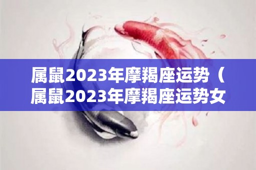 属鼠2023年摩羯座运势（属鼠2023年摩羯座运势女）
