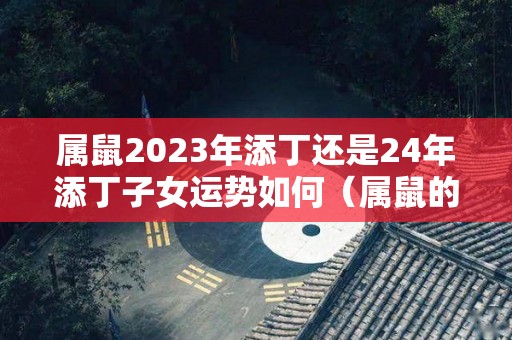 属鼠2023年添丁还是24年添丁子女运势如何（属鼠的2023）
