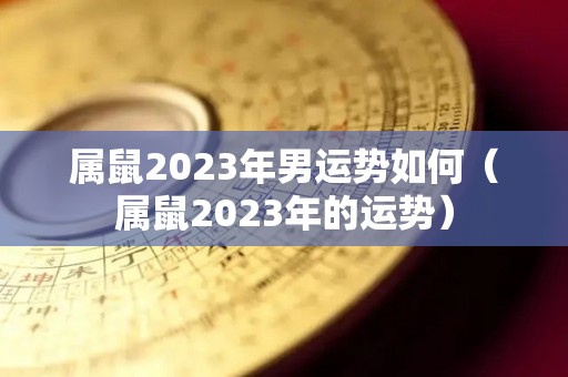 属鼠2023年男运势如何（属鼠2023年的运势）
