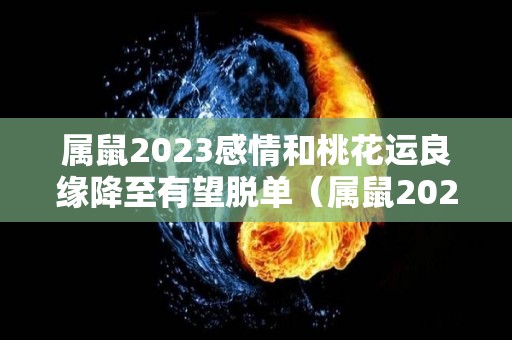 属鼠2023感情和桃花运良缘降至有望脱单（属鼠2023的运势）