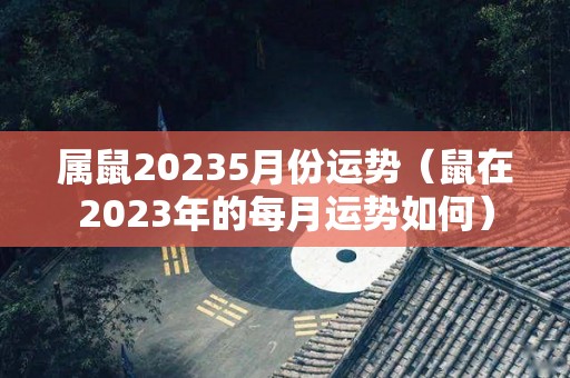 属鼠20235月份运势（鼠在2023年的每月运势如何）