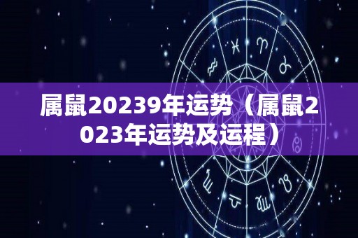 属鼠20239年运势（属鼠2023年运势及运程）