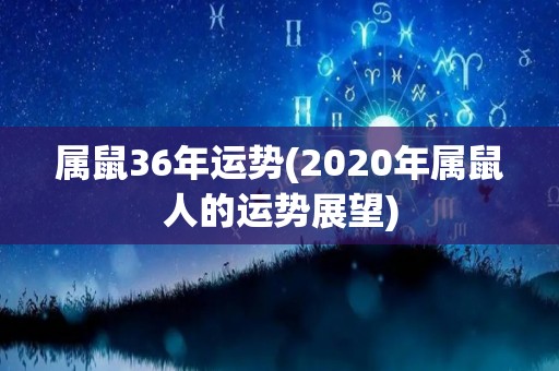 属鼠36年运势(2020年属鼠人的运势展望)