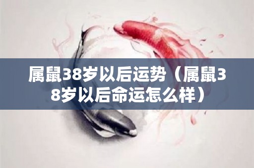 属鼠38岁以后运势（属鼠38岁以后命运怎么样）