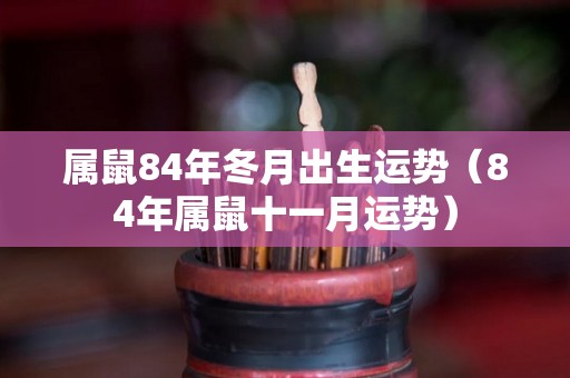 属鼠84年冬月出生运势（84年属鼠十一月运势）