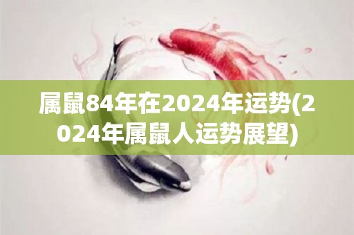 属鼠84年在2024年运势(2024年属鼠人运势展望)