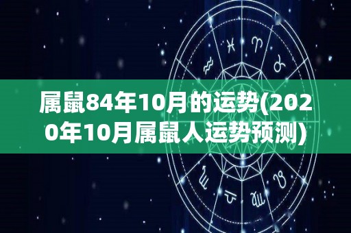 属鼠84年10月的运势(2020年10月属鼠人运势预测)