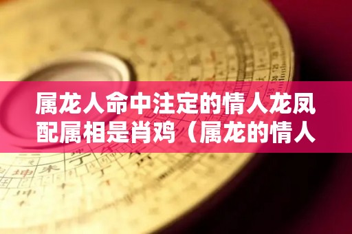 属龙人命中注定的情人龙凤配属相是肖鸡（属龙的情人是什么属相）