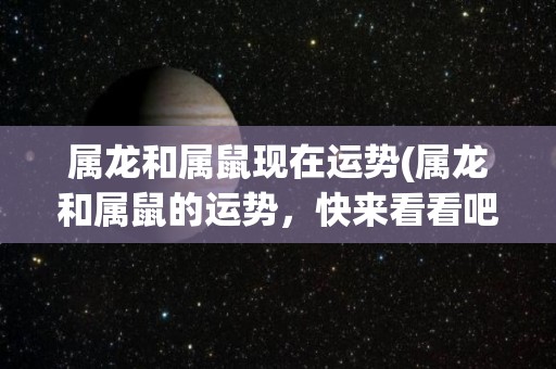 属龙和属鼠现在运势(属龙和属鼠的运势，快来看看吧！)