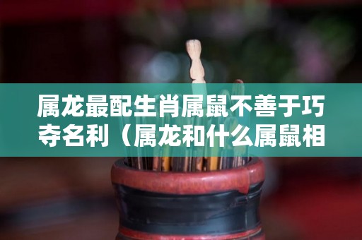 属龙最配生肖属鼠不善于巧夺名利（属龙和什么属鼠相配吗）