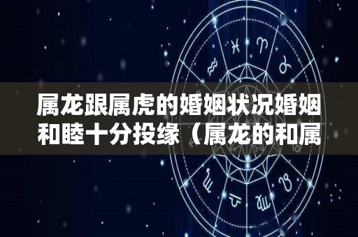 属龙跟属虎的婚姻状况婚姻和睦十分投缘（属龙的和属虎的婚姻怎么样,配吗?）
