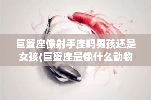 巨蟹座像射手座吗男孩还是女孩(巨蟹座最像什么动物)