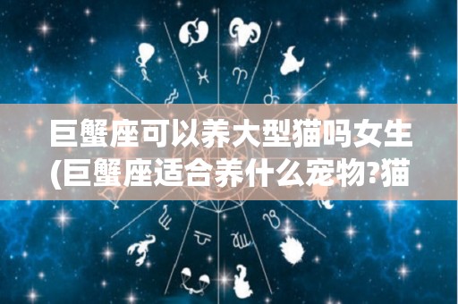 巨蟹座可以养大型猫吗女生(巨蟹座适合养什么宠物?猫还是狗?)