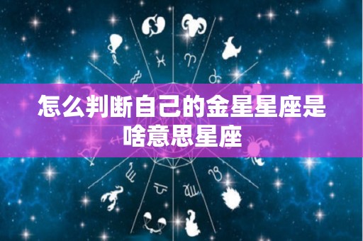 怎么判断自己的金星星座是啥意思星座