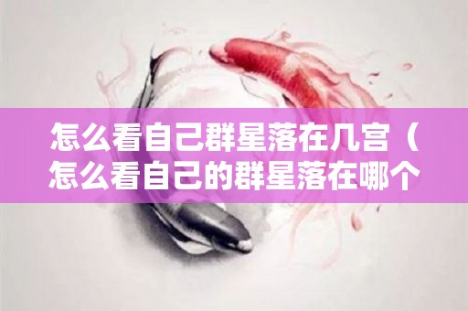 怎么看自己群星落在几宫（怎么看自己的群星落在哪个宫）