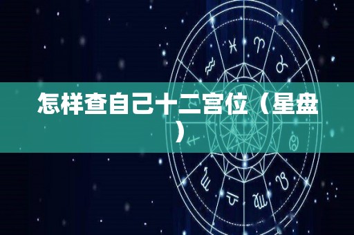 怎样查自己十二宫位（星盘）