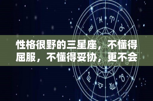 性格很野的三星座，不懂得屈服，不懂得妥协，更不会轻易的低头的简单介绍
