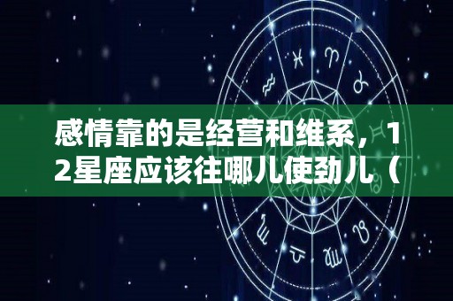 感情靠的是经营和维系，12星座应该往哪儿使劲儿（十二星座感情败给谁）