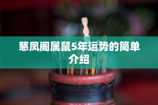 慈凤阁属鼠5年运势的简单介绍
