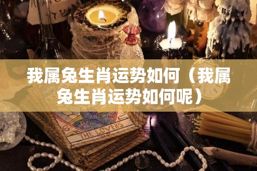 我属兔生肖运势如何（我属兔生肖运势如何呢）