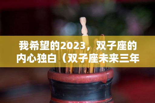 我希望的2023，双子座的内心独白（双子座未来三年的运势）