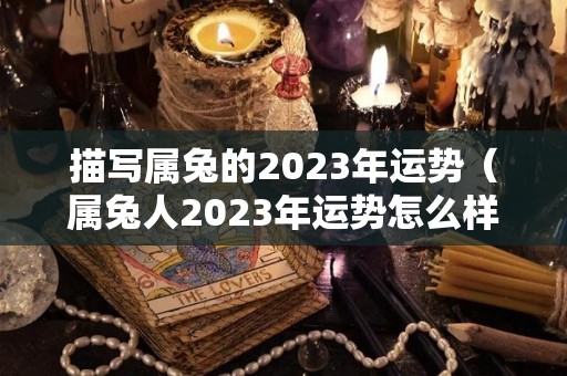 描写属兔的2023年运势（属兔人2023年运势怎么样）