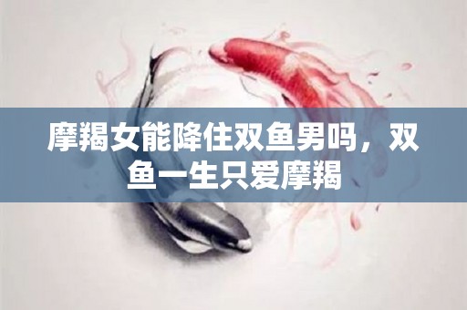 摩羯女能降住双鱼男吗，双鱼一生只爱摩羯