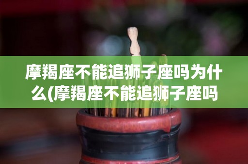 摩羯座不能追狮子座吗为什么(摩羯座不能追狮子座吗为什么呢)
