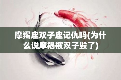 摩羯座双子座记仇吗(为什么说摩羯被双子毁了)