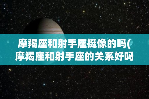 摩羯座和射手座挺像的吗(摩羯座和射手座的关系好吗?)