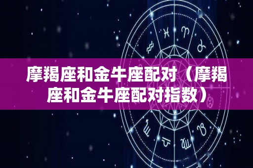 摩羯座和金牛座配对（摩羯座和金牛座配对指数）