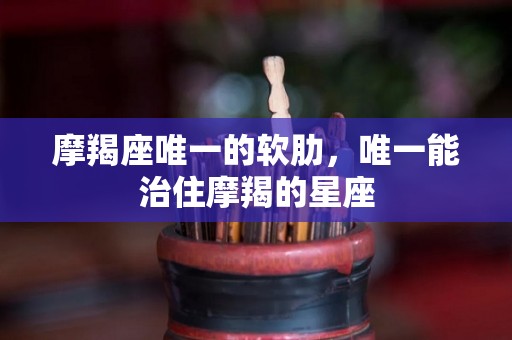 摩羯座唯一的软肋，唯一能治住摩羯的星座