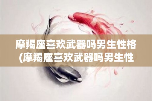 摩羯座喜欢武器吗男生性格(摩羯座喜欢武器吗男生性格分析)