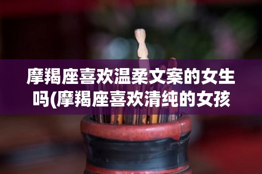 摩羯座喜欢温柔文案的女生吗(摩羯座喜欢清纯的女孩还是性感的女孩)